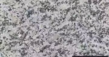 聊城 芙蓉白（芝麻白大花）火烧面