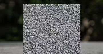 聊城 芝麻黑荔枝面