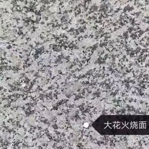 聊城 芙蓉白（芝麻白大花）火烧面