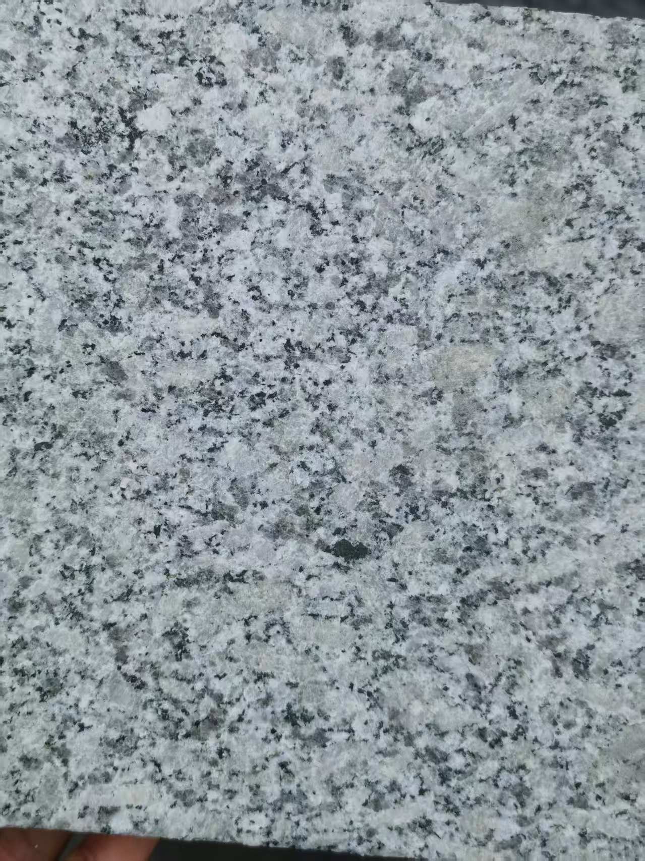 聊城 芙蓉白火烧面