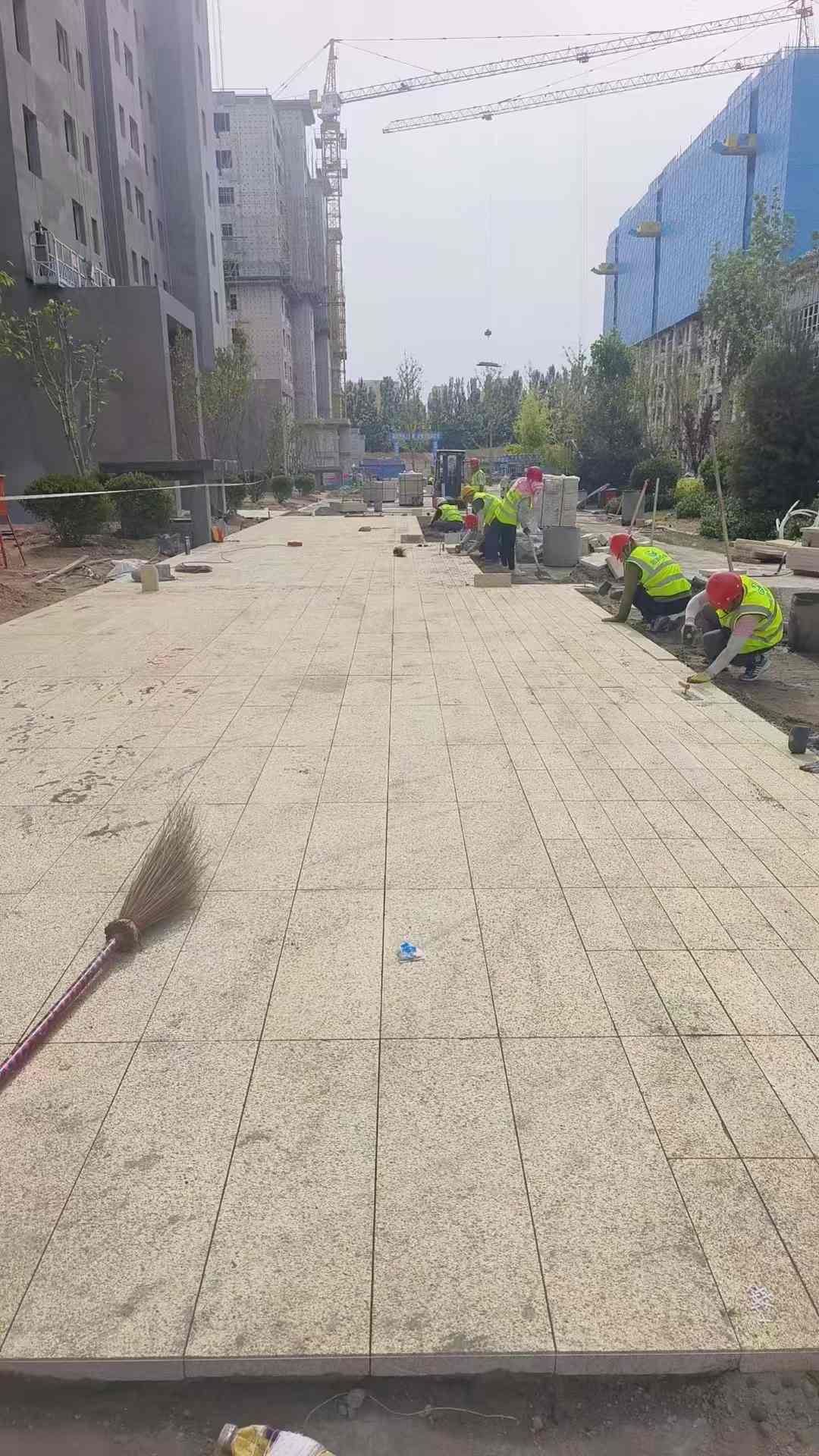 聊城黄金麻荔枝面地铺案例