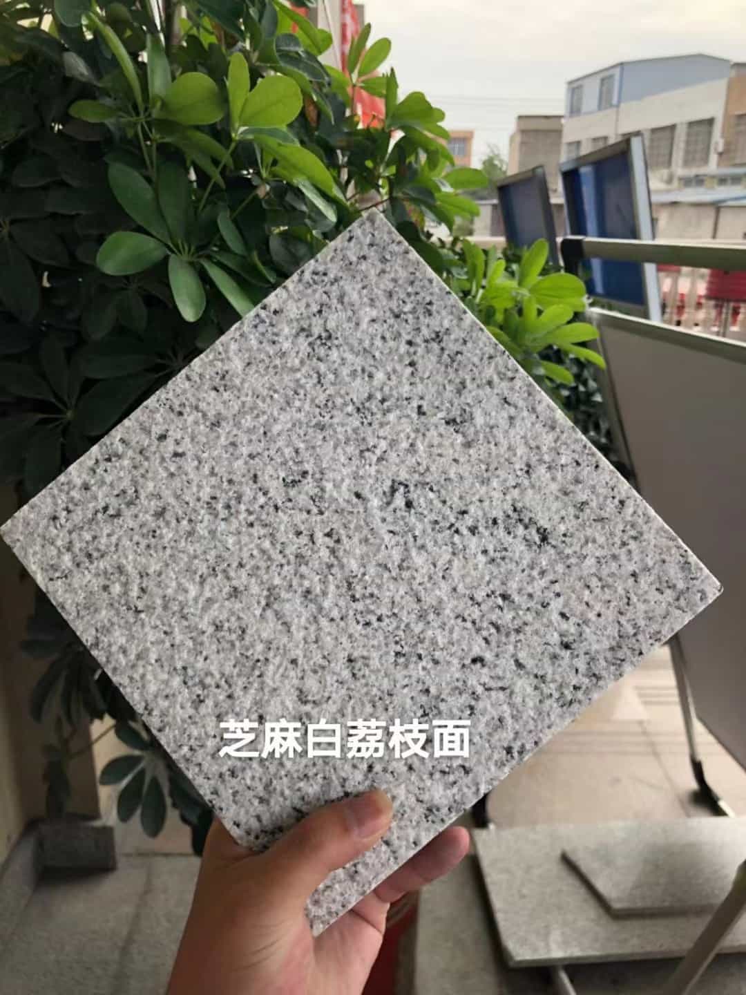 聊城 芝麻白荔枝面干挂