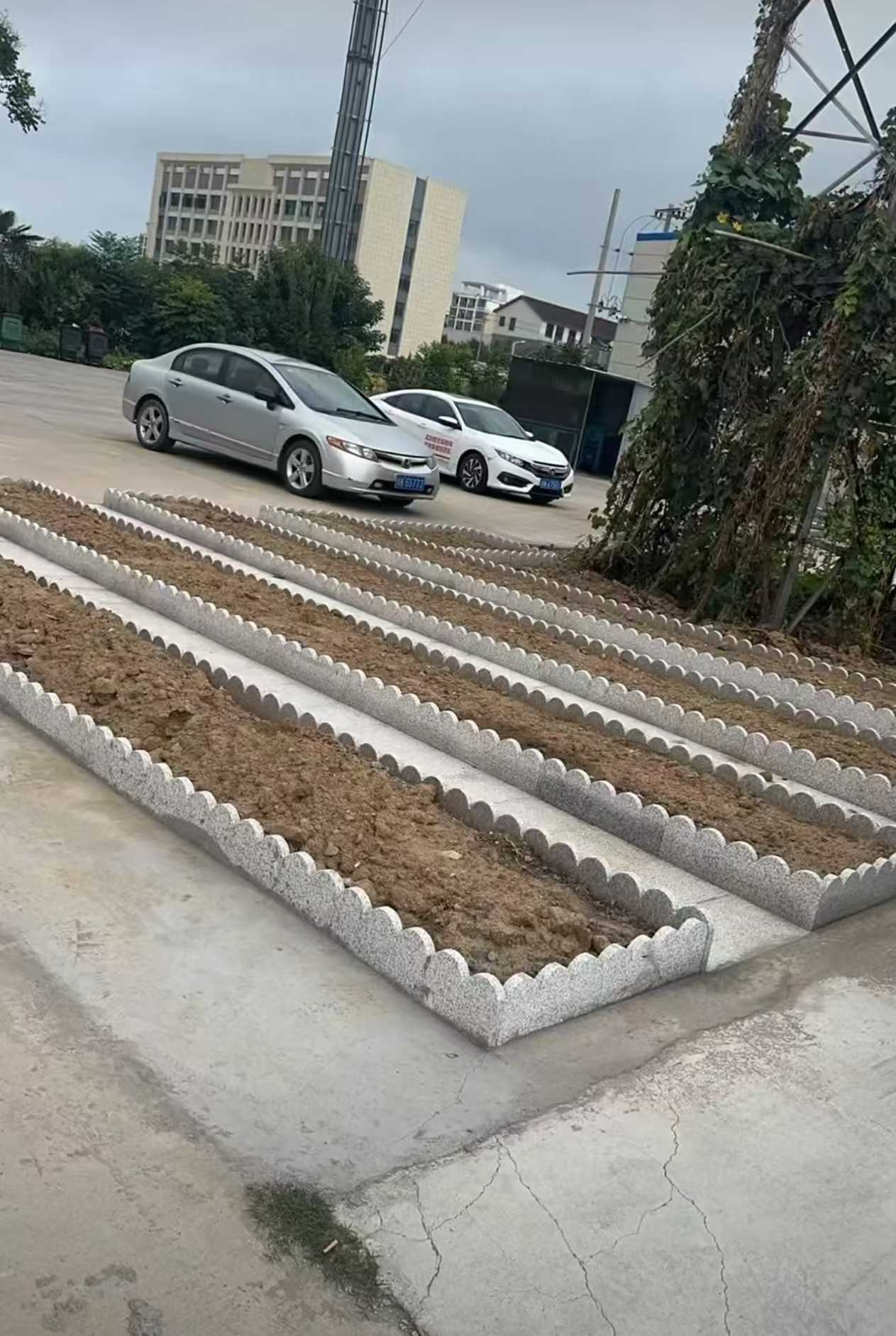 聊城 花边石、花围石、花园石安装效果