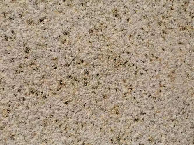 聊城黄锈石荔枝面